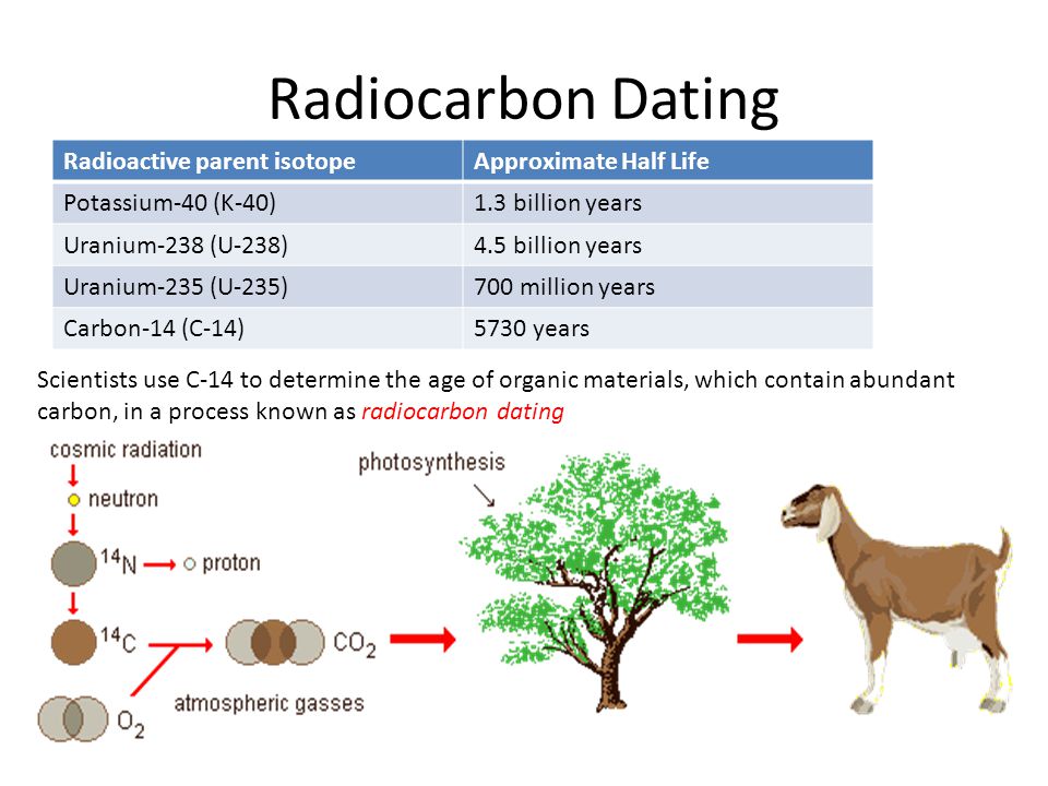 what is carbon dating how is it used to determine the age of fossils what is carbon dating how is it used to determine the age of fossils